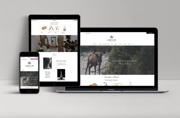 web, diseño web